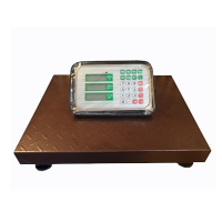 Весы напольные GreatRiver DH-702Е(300кг/50г) LCD радиоканал
